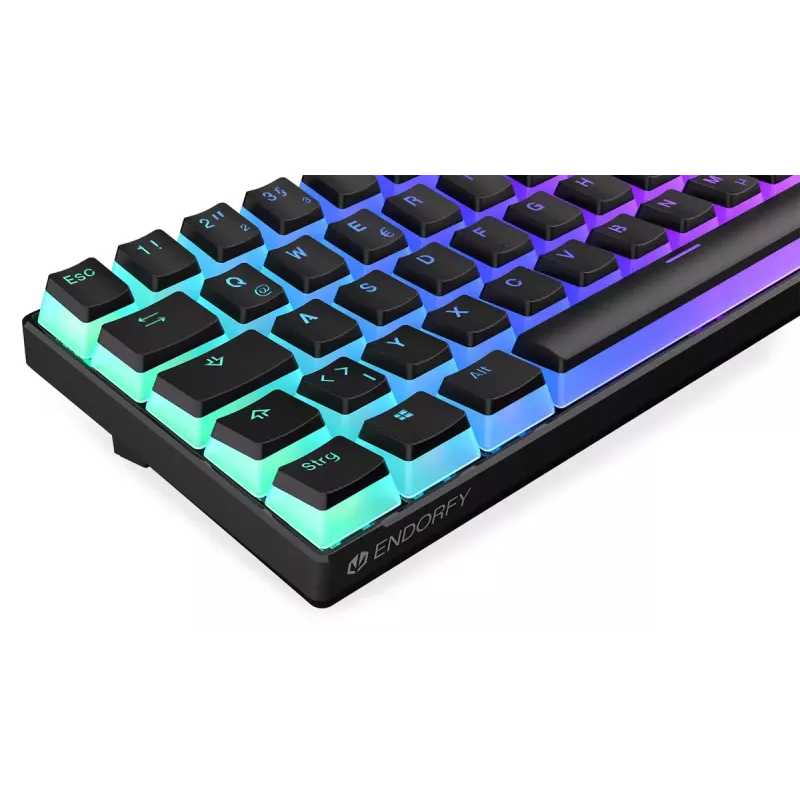 Gaming-Tastatur ENDORFY Thock Compact RF Wireless USB QWERTZ 61 Tasten RGB LED