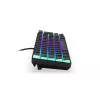 Gaming-Tastatur ENDORFY Thock Compact RF Wireless USB QWERTZ 61 Tasten RGB LED