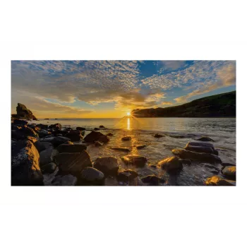 Monitor Samsung IF015R 15 Zoll LED 640 x 360 Pixel
