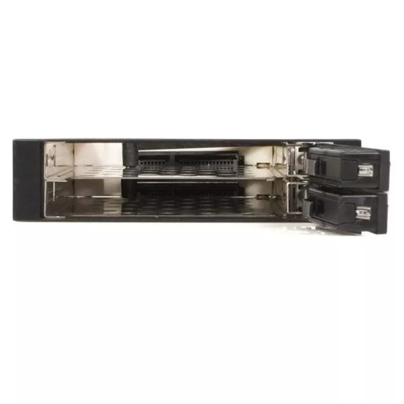 StarTech.com 2-Laufwerk 2,5-Zoll trayslose Hot-Swap-SATA-Mobile-Rack-Backplane
