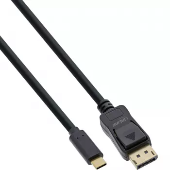 USB-Display-Kabel InLine 64123 USB-C Stecker auf DisplayPort Stecker 3m