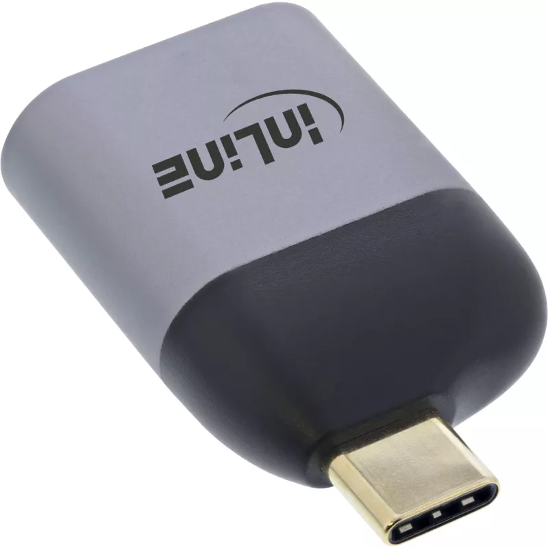 USB-Display-Adapter InLine 64106D USB-C Stecker auf DisplayPort Buchse 8K60Hz