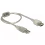USB-Kabel DeLOCK 82244 USB 2.0 0,3 m Transparent