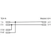 InLine TAE-N-Kabel TAE-N / RJ11 Adapter 6P2C gebrückt 3m