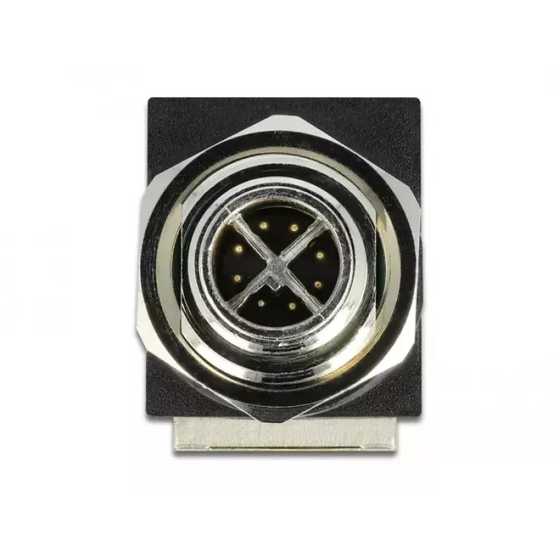 Netzwerkadapter DeLOCK M12 8-polig X-codiert Stecker auf RJ45-Buchse
