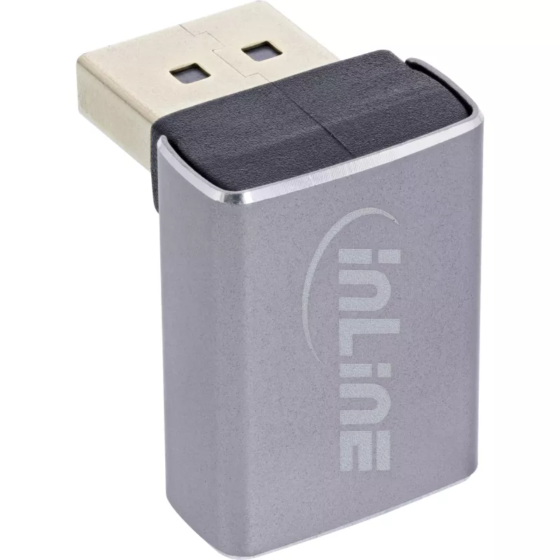InLine 17291G Kabel-Gender-Changer DisplayPort Grau, Schwarz