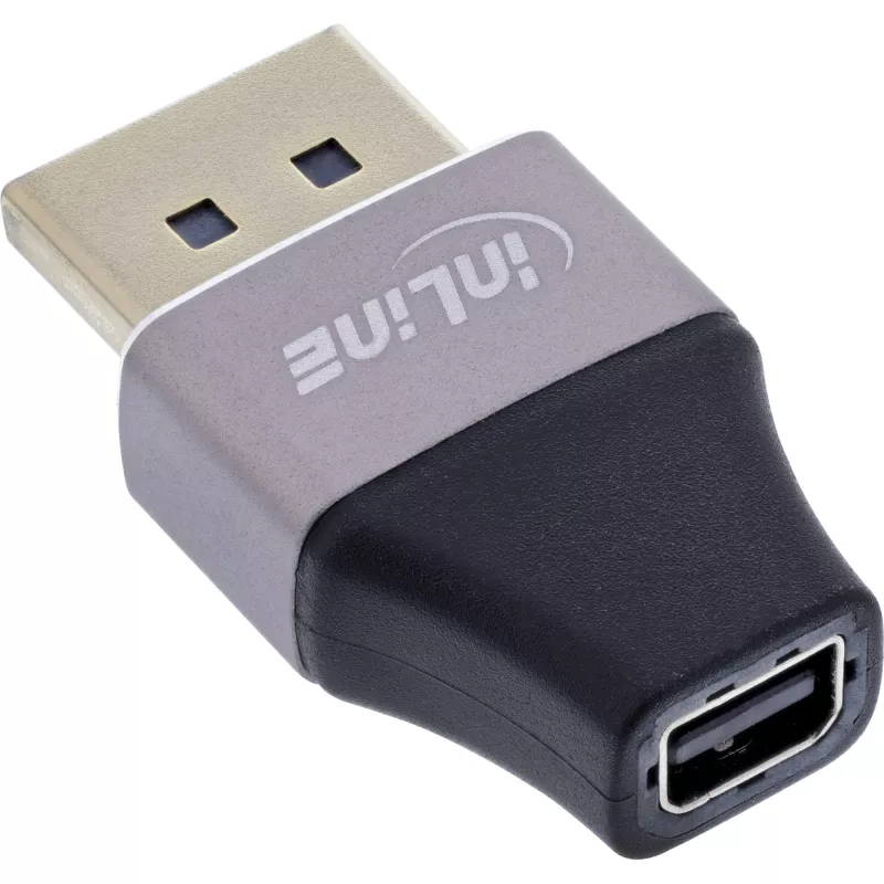 InLine 17291B Kabeladapter DisplayPort Mini DisplayPort Schwarz, Grau