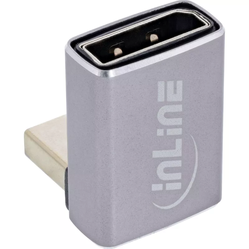 InLine 17291F Adapter DisplayPort Mini DisplayPort Grau Schwarz