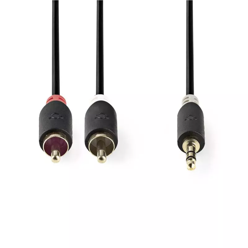 Audiokabel Nedis CABW22200AT20 2 m 3,5 mm 2 x RCA Anthrazit