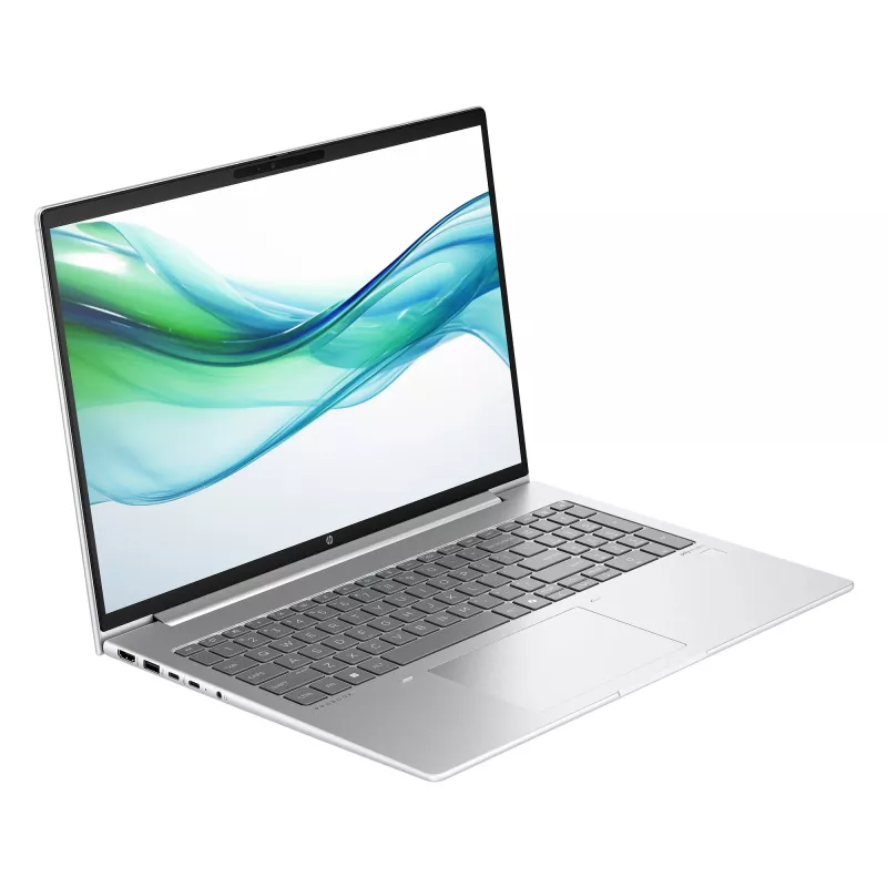 HP ProBook 460 G11 Intel Core Ultra 5 125U Laptop 40,6 cm (16 Zoll) WUXGA 16 GB DDR5-SDRAM 512 GB SSD Wi-Fi 6E (802.11ax) FreeDOS Silber