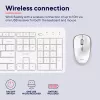 Trust Ody II Tastatur Maus included Home/Office RF Wireless German White