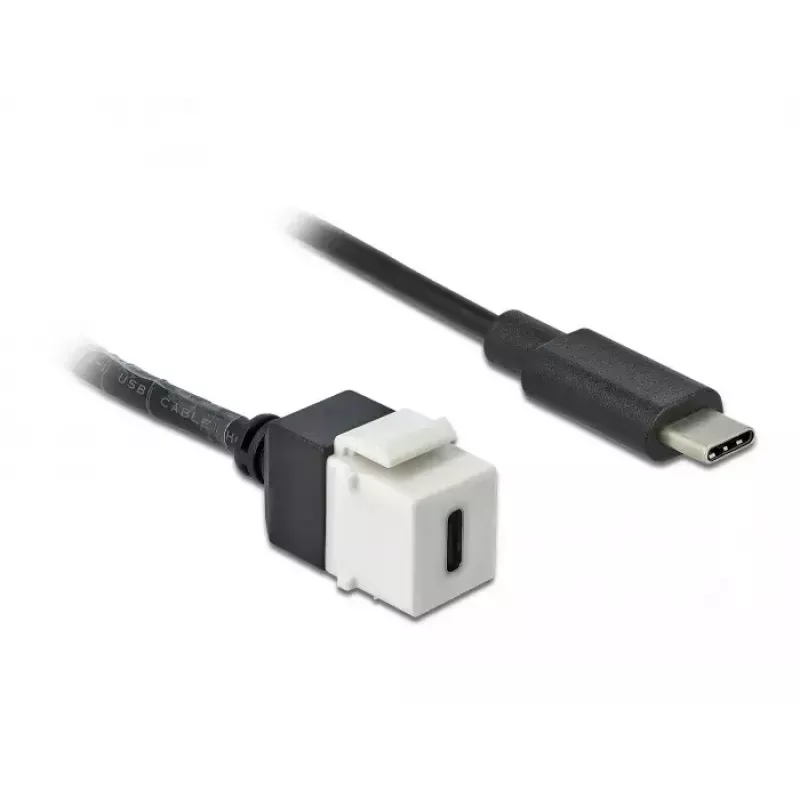 Keystone-Modul DeLOCK 86399 Flach Schwarz Weiß USB C