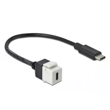 Keystone-Modul DeLOCK 86399 Flach Schwarz Weiß USB C