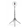 Lichtring Hama SpotLight Steady 120 III 160 LED 1020 lm 3000 K