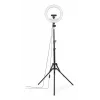 Lichtring Hama SpotLight Steady 120 III 160 LED 1020 lm 3000 K