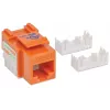 Intellinet Keystone Jack, Cat6, UTP, Punch-down, Orange