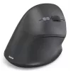 Hama EWM-500R Maus Büro Rechtshändig RF Wireless Optisch 1800 DPI