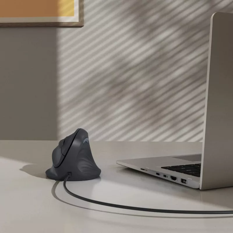 Hama ECM-500R Maus Büro Rechtshänder USB Typ-A Optisch 1800 DPI
