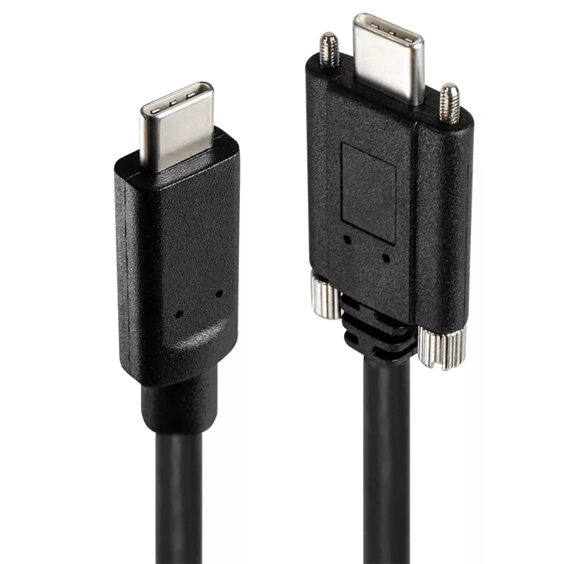 USB Hub Lindy 4 Port USB 3.2 Gen 2 Typ C Metall-Hub