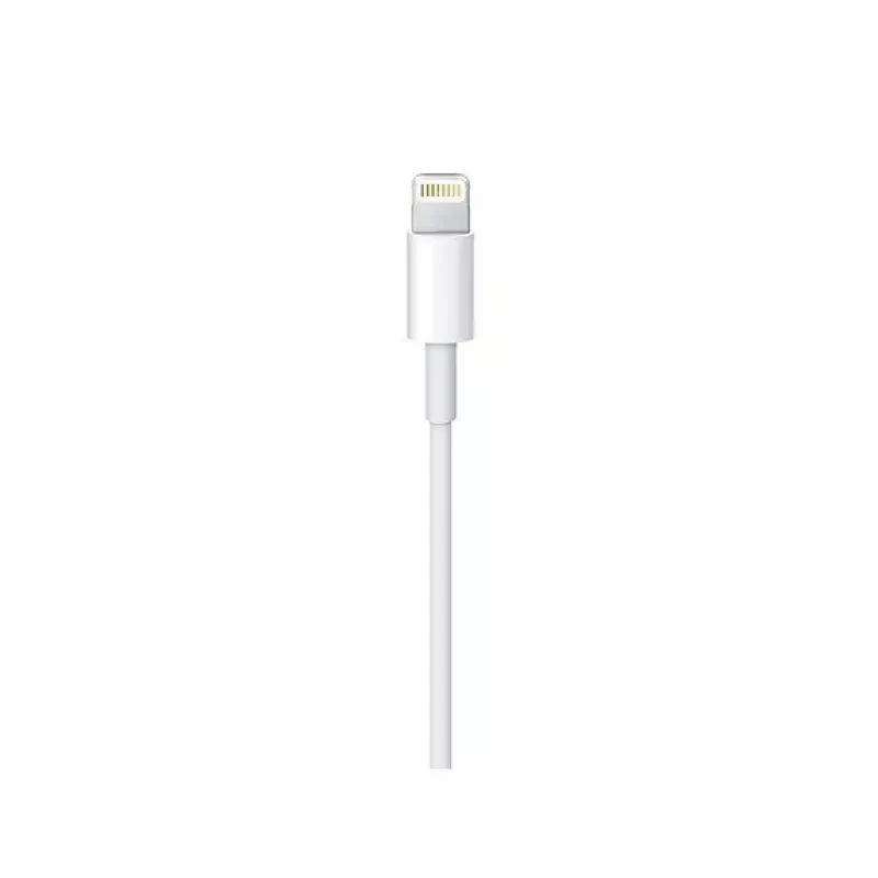 Kabel Apple Lightning auf USB-C Kabel (2 m) MKQ42ZM/A