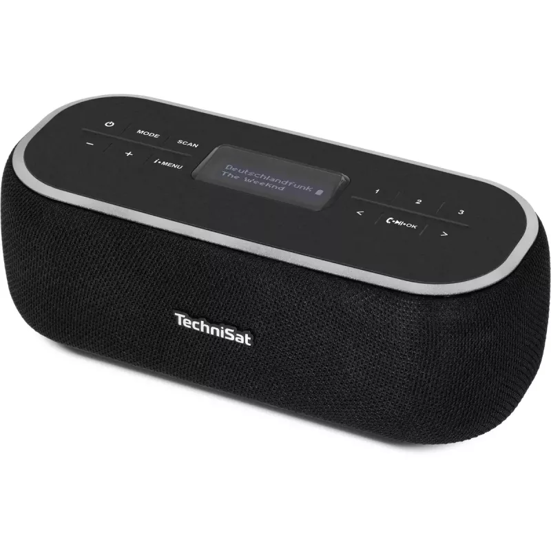 Tragbares Radio TechniSat 0000/3968
