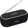 Tragbares Radio TechniSat 0000/3968