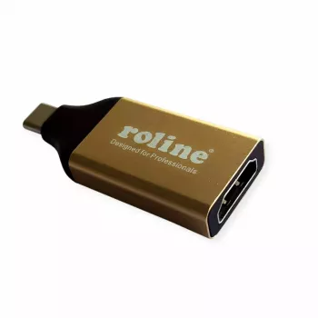 Kabeladapter ROLINE 12.03.3231