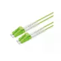 ROLINE InfiniBand/Glasfaserkabel 3 m 2x LC Grün OM5 50 µm
