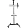 InLine Höhenverstellbarer TV-Wagen, für LED-TV 37 Zoll–70 Zoll (94–178 cm), max. 50 kg