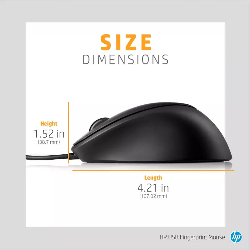 HP USB Fingerprint Maus USB Type-A