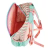 Schulrucksack Herlitz Rookie Sweet Jungle Grün Pfirsich Polyester