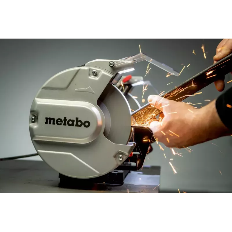 Doppelschleifer Metabo DS 200 Plus 2980 U/min 600 W