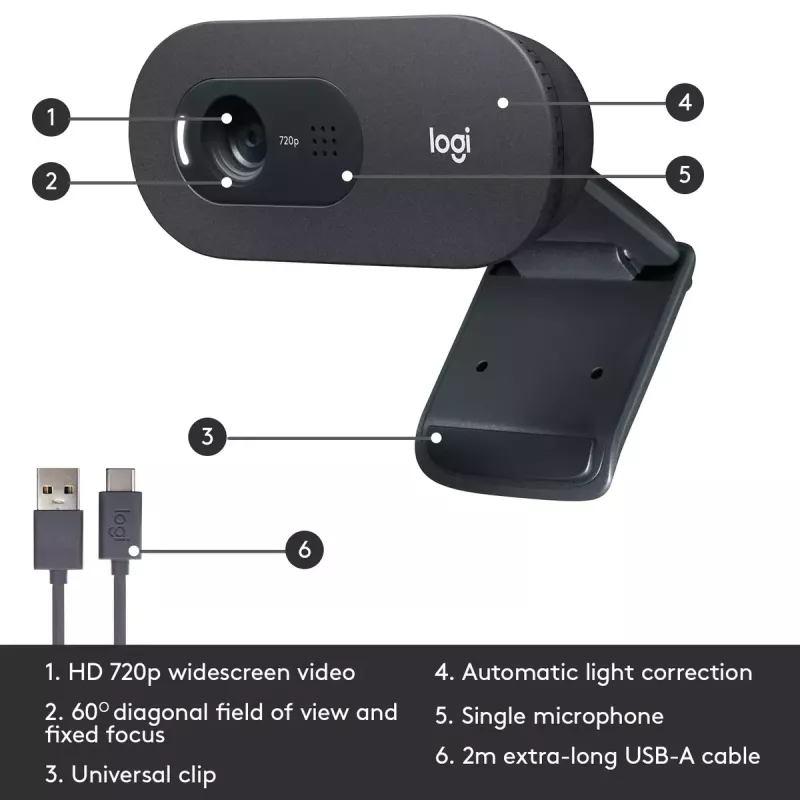 Webcam Logitech C505 HD 1280x720 USB Schwarz
