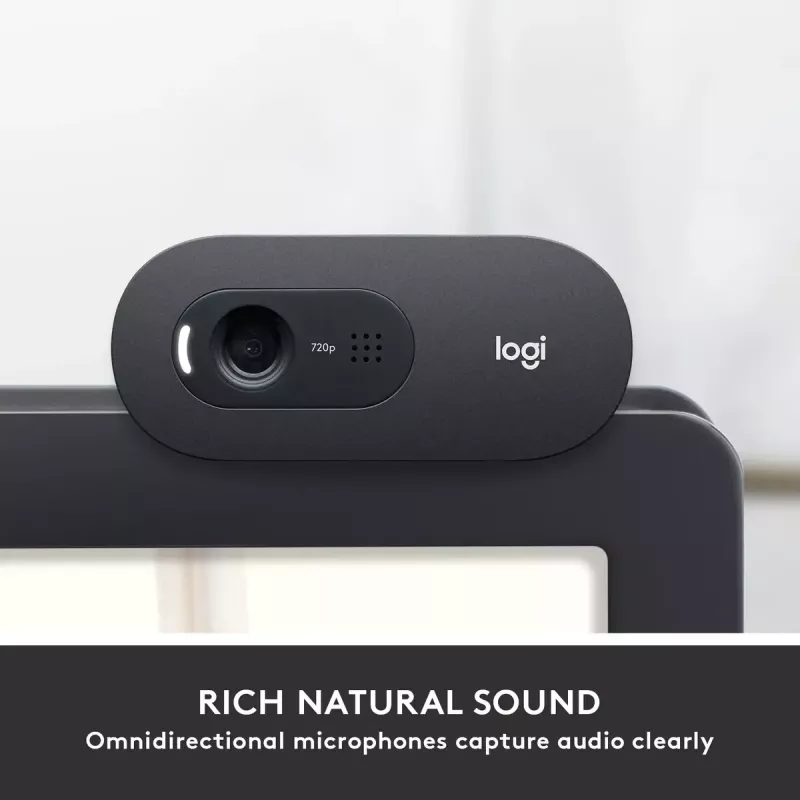 Webcam Logitech C505 HD 1280x720 USB Schwarz