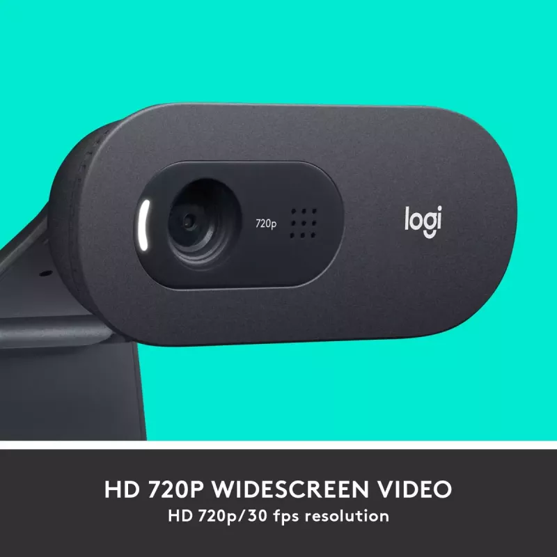 Webcam Logitech C505 HD 1280x720 USB Schwarz