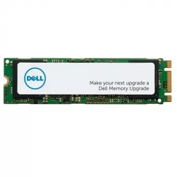 DELL AA615517 interne Solid-State-Festplatte 256 GB M.2 Serial ATA