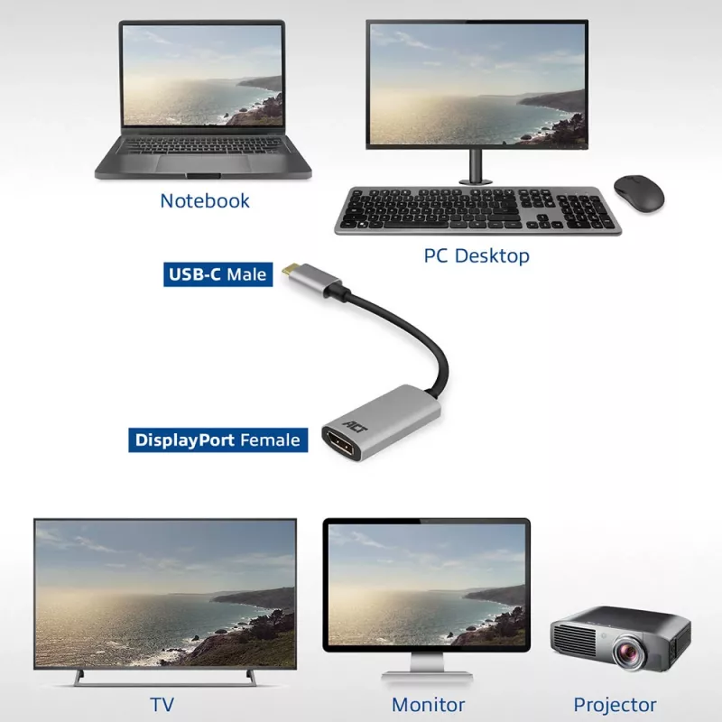 USB-C auf DisplayPort Adapter ACT AC7030