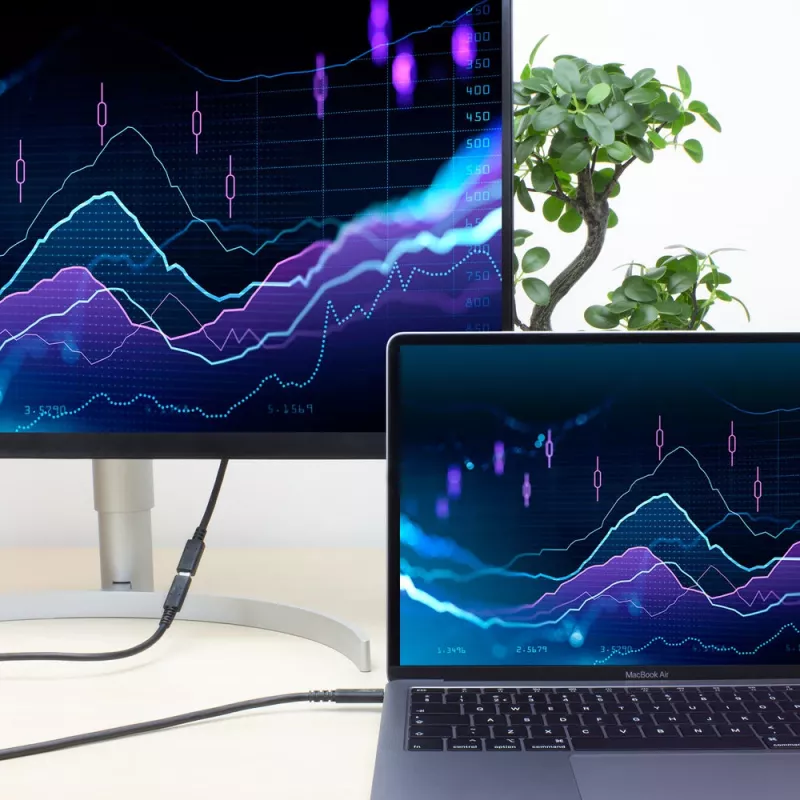 ACT USB 3.0 Verlängerungskabel USB-C 2 Meter 5 Gbit/s Schwarz