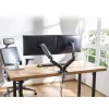 ACT Gasfeder-Doppelmonitorarm Büro Klemm-/Durchführungsmontage 18 kg