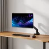 ACT Monitorarm 49 Zoll Büro Premium Gasfeder 1 Monitor Klemm-/Durchführungsmontage 20 kg