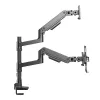 Laptop- & Monitorarm ACT AC8341 Gasfeder schwarz 49 Zoll