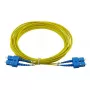 BlueOptics CAB-SMF-SC-SC-30 InfiniBand Glasfaserkabel 30 m SC SC