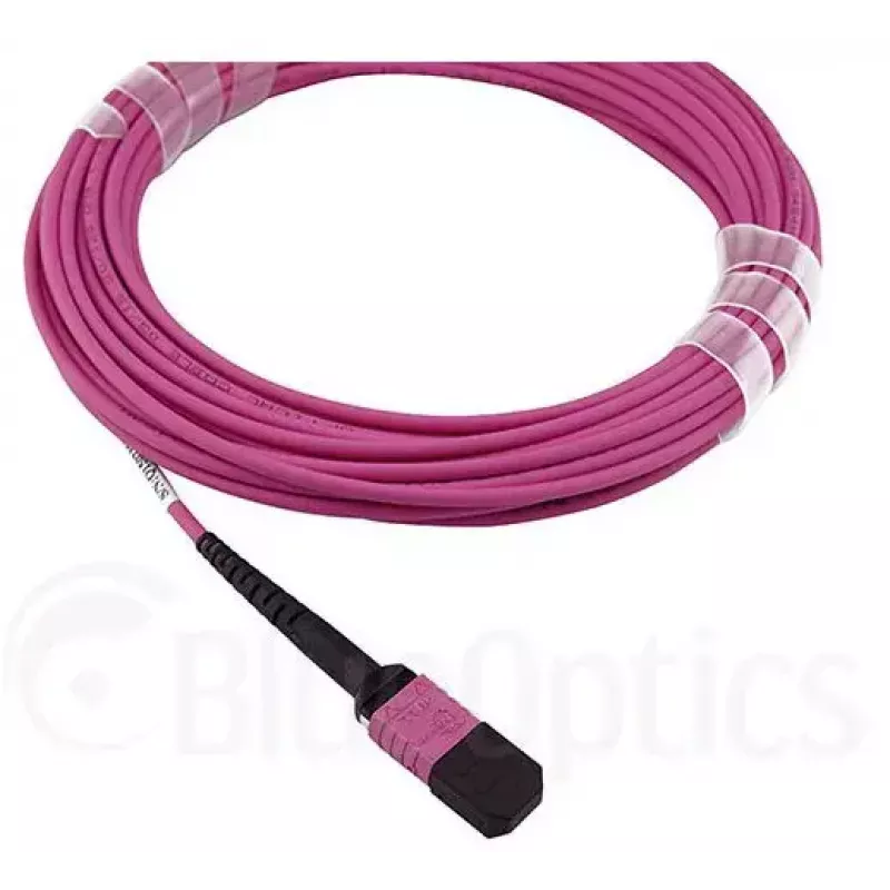 Glasfaserkabel MPO BlueOptics CBL-MPO12-OM4-1M 1m OM4