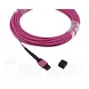 Glasfaserkabel MPO BlueOptics CBL-MPO12-OM4-1M 1m OM4
