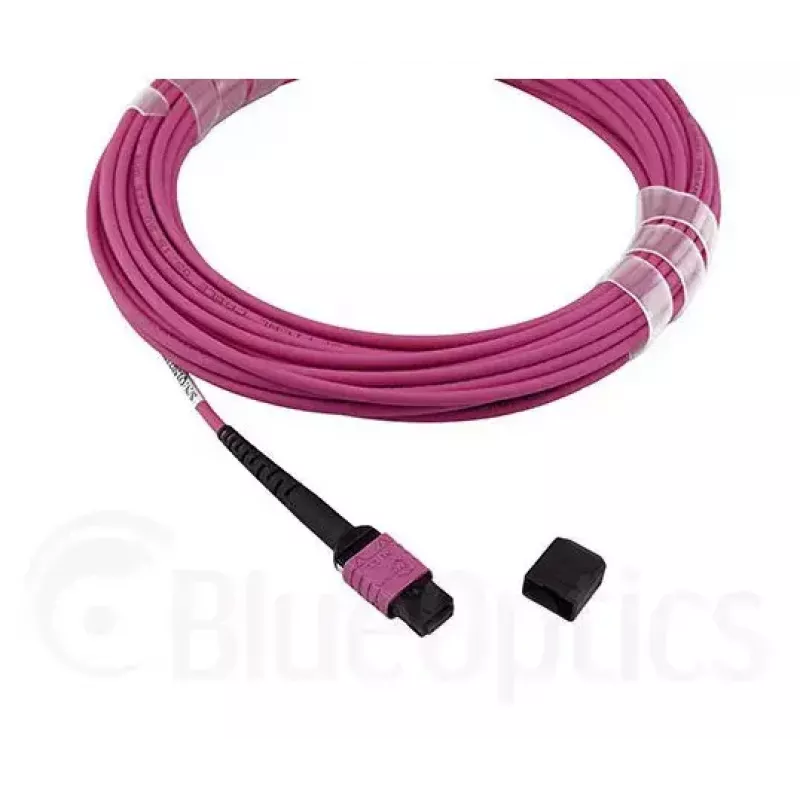 Glasfaserkabel MPO BlueOptics CBL-MPO12-OM4-1M 1m OM4