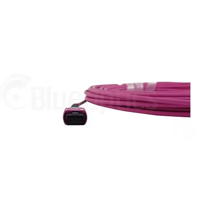 Glasfaserkabel MPO BlueOptics CBL-MPO12-OM4-1M 1m OM4