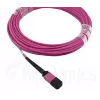 Glasfaserkabel MPO BlueOptics CBL-MPO12-OM4-20M-BO 20m OM4