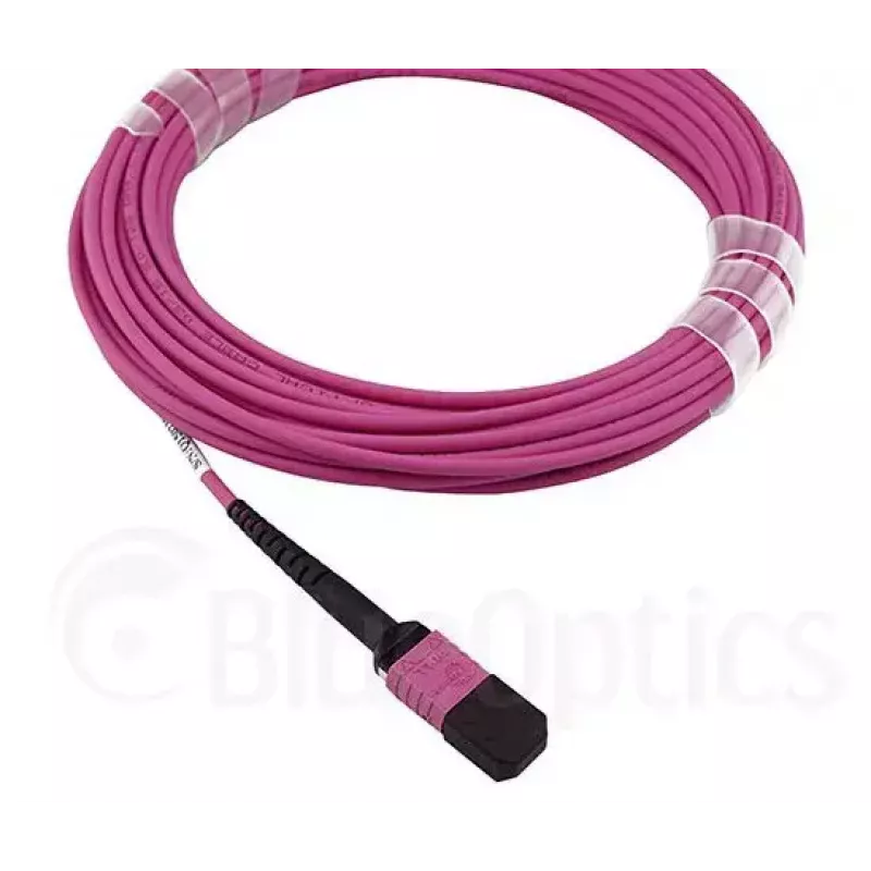 BlueOptics CBL-MPO12-OM4-2M InfiniBand Glasfaserkabel MPO 2m OM4