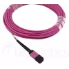BlueOptics CBL-MPO12-OM4-3M-BO MPO Glasfaserkabel 3m OM4 50µm