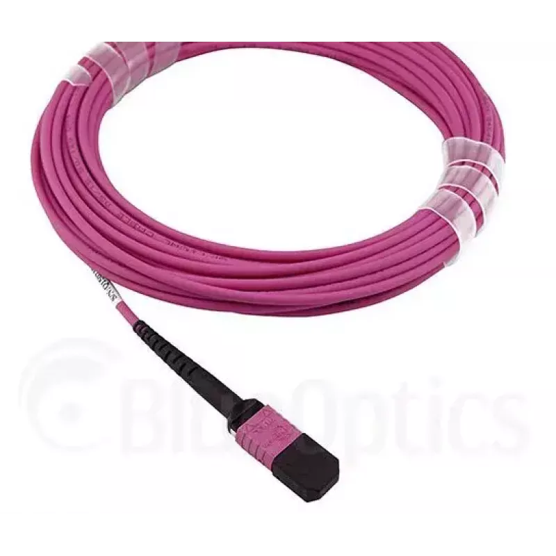 Glasfaserkabel MPO BlueOptics CBL-MPO12-OM4-5M-BO 5 m OM4 50 µm